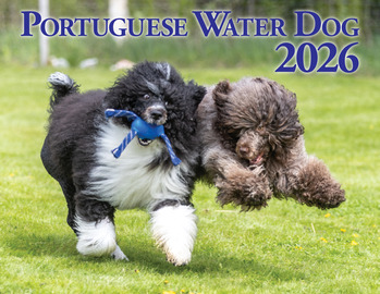 2026 Nutmeg Calendar